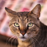 Our second happy client